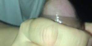Wife Licking Cock Wife Licking Cock