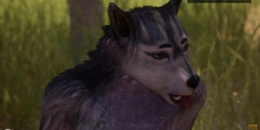 Furry Wolf Pussy Masturbation Furry Wolf Pussy Masturbation