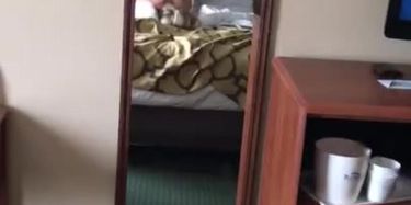 asian girlfriend huge cock
